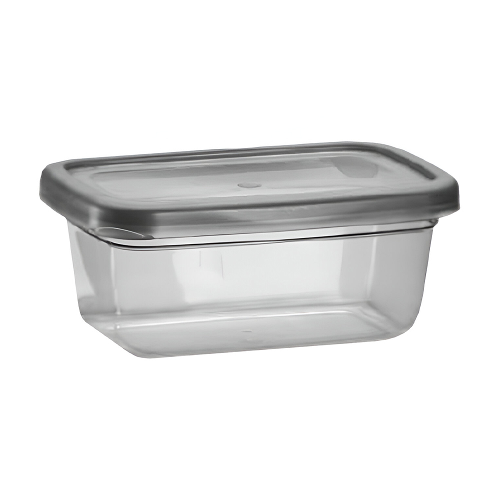 Контейнер Violet House Transparent Black, 2 л (0509)